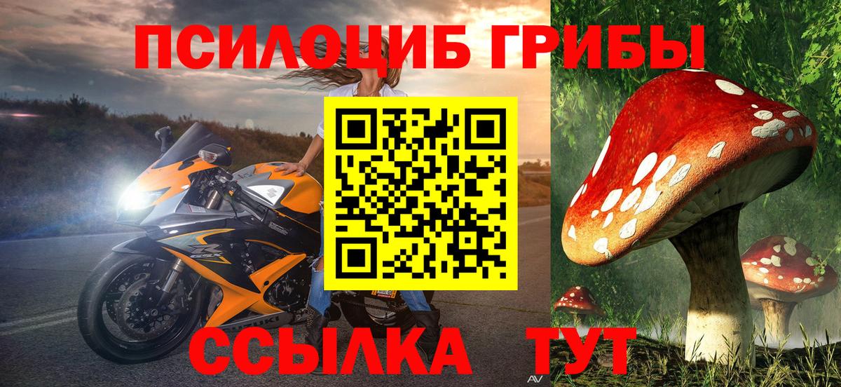 Псилоцибиновые грибы MAGIC MUSHROOMS  Галлюциногенные грибы MAGIC MUSHROOMS  Вход с VPN  Ипатово 